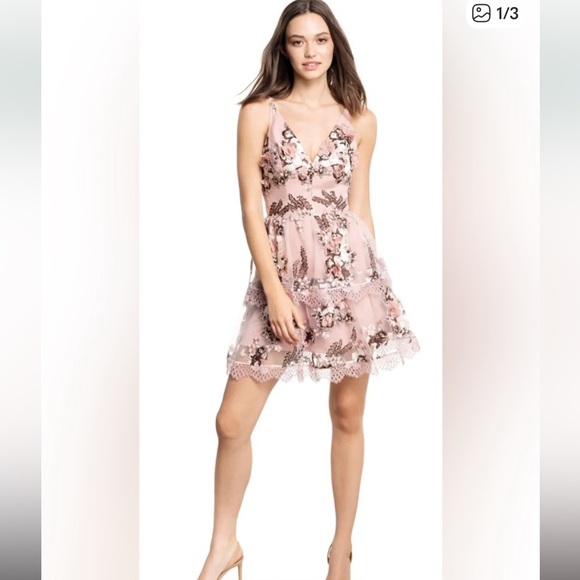 Dress the Population Dresses & Skirts - Dress The Population Nellie Floral Embroidered Lace Tiered Mini Dress size L